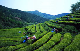 從北京出發(fā)，探索世界 一份出境旅行指南